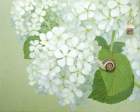 58 photo58_small.jpg